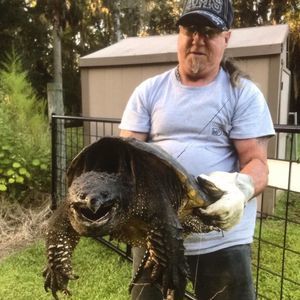 Meet your Posher, Bill